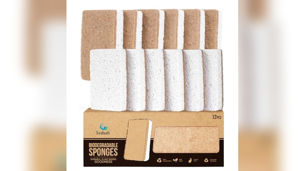 Best Eco-Friendly Dish Sponges in 2026