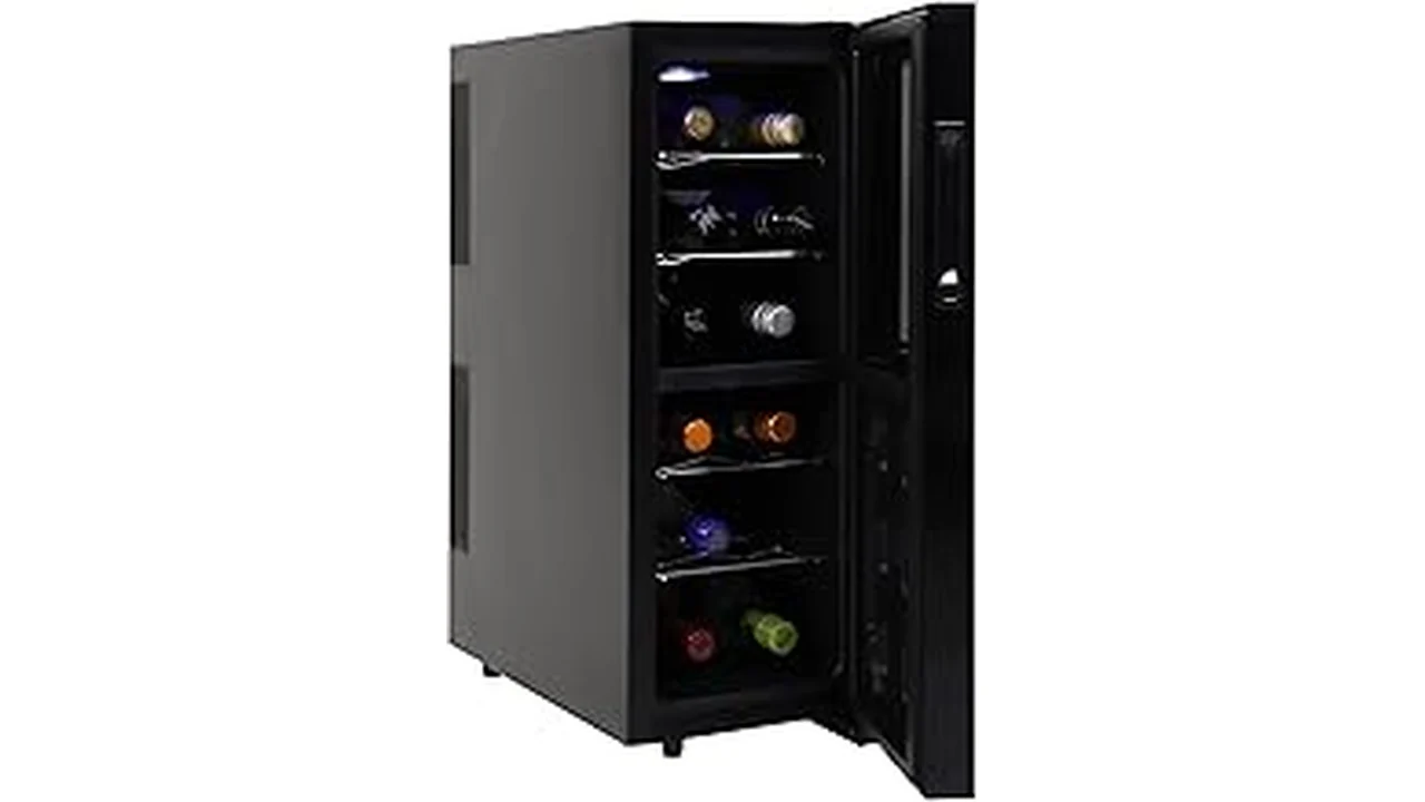 Best Dual-Zone Wine Cooler For Red And White At The Same Time