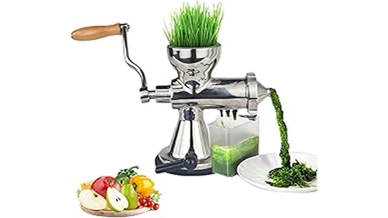 Best Juicer For Leafy Greens: Spinach, Kale, And Wheatgrass Without Clogging