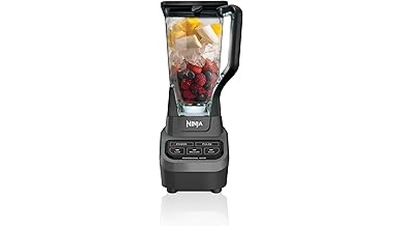 Best Blender For Frozen Fruit That Doesn’t Strain The Motor
